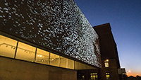 A Murmuration at Contemporary Art Museum St. Louis by Zlatko Cosic